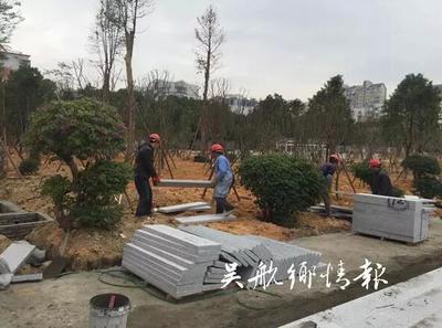 【惠民生 補短板】春節(jié)前,冰心公園將美出新高度!