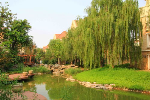 中工榜 公示 大同市園林綠化工程公司優秀企業推薦