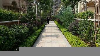 園林綠化公司注冊(cè)條件(園林綠化公司注冊(cè)條件是什么)