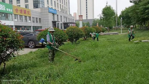 泰安市園林綠化管理服務(wù)中心 雨后除草護綠,為城市綠化 減負