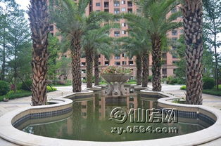 金石華府二期園林綠化施工進展及3號樓新品預告